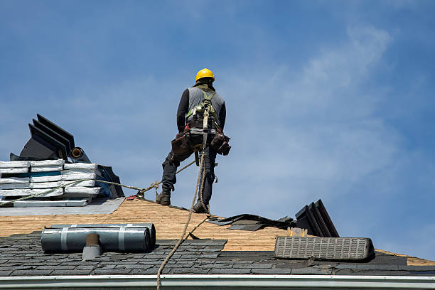 Professional Roofing technician working in Waterport, NY